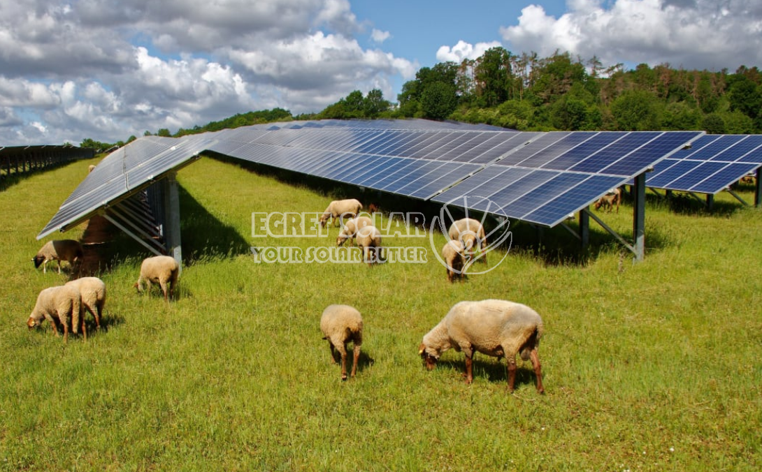 Strateegiline koostöö Egret Solar New Energy Technology ja Smart Concept Energy vahel