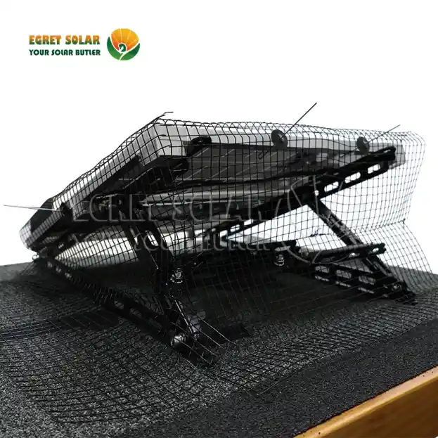 Miks on päikeselindude võrgud peamine kaitseliin?